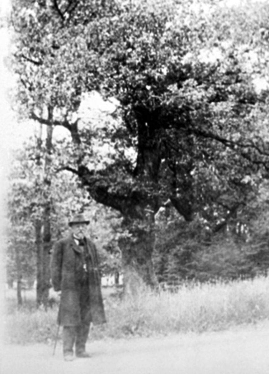 Anno Domkirkeodden, PORTRETT AXEL DANIEL HALVORSEN FØDT 13. 11. 1847 DØD 10, 01. 1917 PÅ SPASERTUR