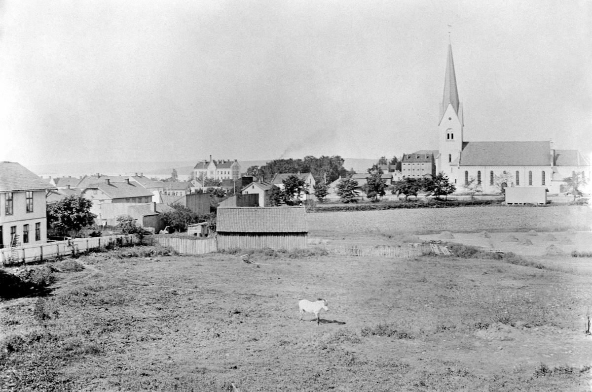 Anno Domkirkeodden, OVERSIKT HELLERUDJORDET, GREVEJORDET UTEN BEBYGGELSE, HAMAR DOMKIRKE I BAKGRUNNEN, HEST MIDT PÅ JORDET.