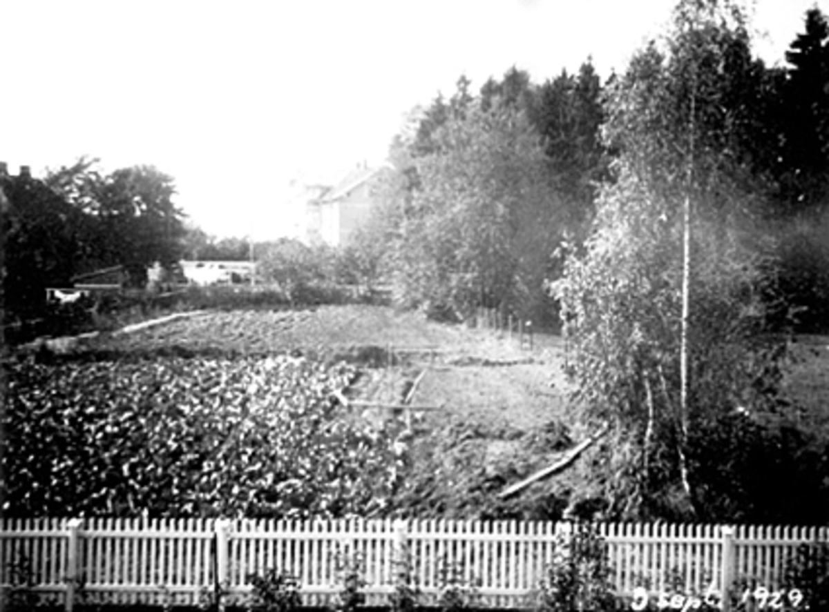 Anno Domkirkeodden, UTSIKT FRA SAGALUND, ARVESENSVEG 31