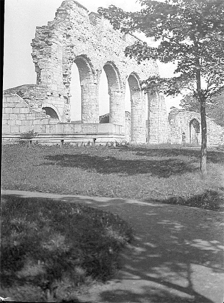 Anno Domkirkeodden, DOMKIRKERUINEN, HEDMARKSMUSEET OG DOMKIRKEODDEN,