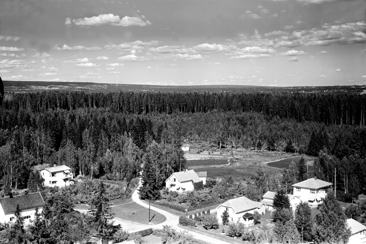 Widerøes Flyveselskap A/S, FLYFOTO OVERSIKT HAGAVEGEN, FR. NANSENSGATE, SKOG I BAKGRUNNEN