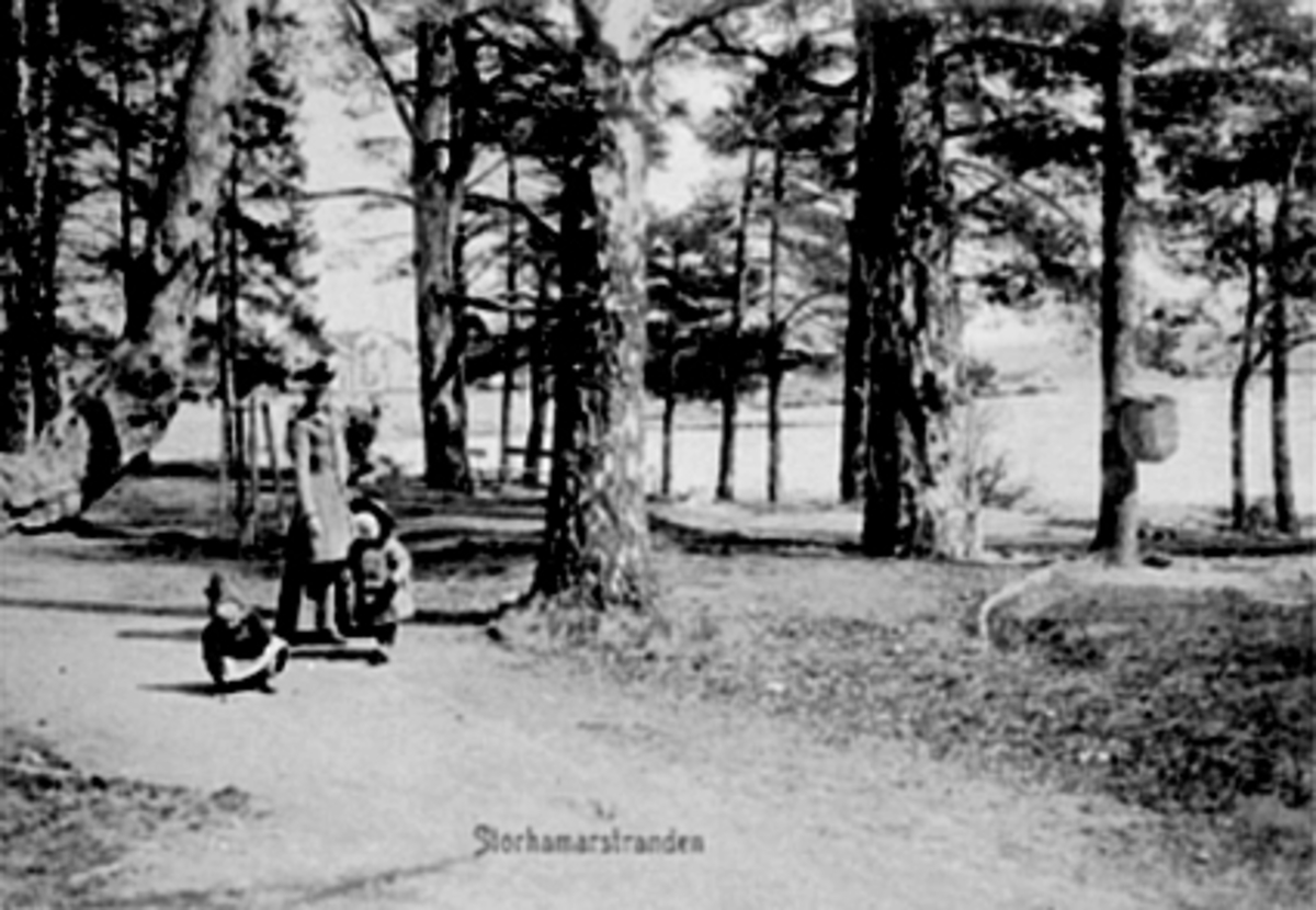 Anno Domkirkeodden, 2 BARN, EN KVINNE, TREET MUNKEN, STRANDPROMENADEN, RIDEHUSSTRANDA