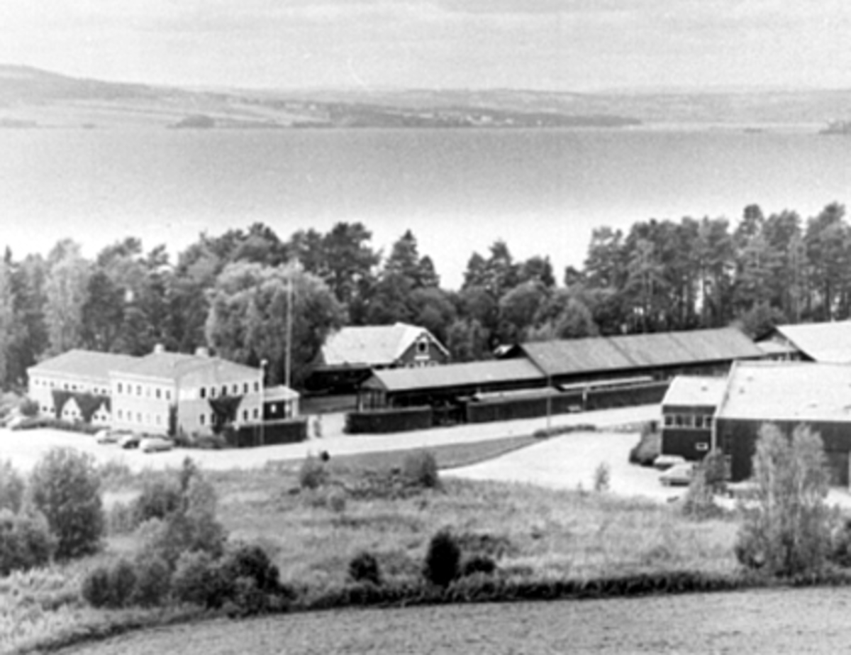 Anno Domkirkeodden, OVERSIKT JERNBANEMUSEET, ANLEGGET
