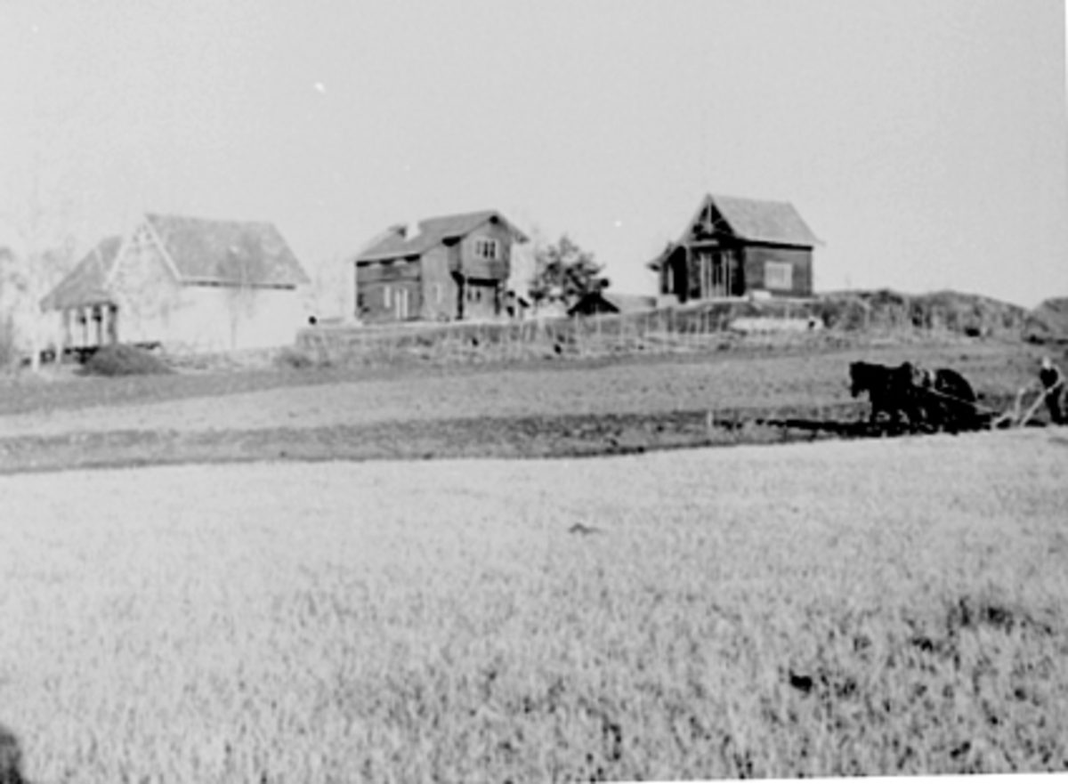 Anno Domkirkeodden, OVERSIKT OVER HUS, JERNBANEMUSEET, DISEN