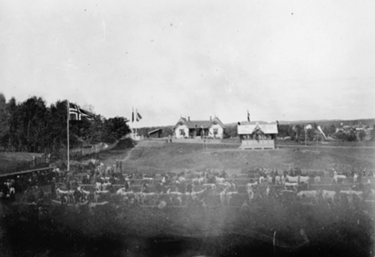 Anno Domkirkeodden, FESJÅ, MYE KYR, FOLK, MUSIKKPAVILJONG, RESTAURANT