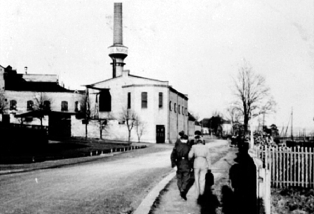Anno Domkirkeodden, TYSKE SOLDATER, NORSKE JENTER, ARM I ARM, MELKEFABRIKKEN I HAMAR TIL V. "Fraternisering".