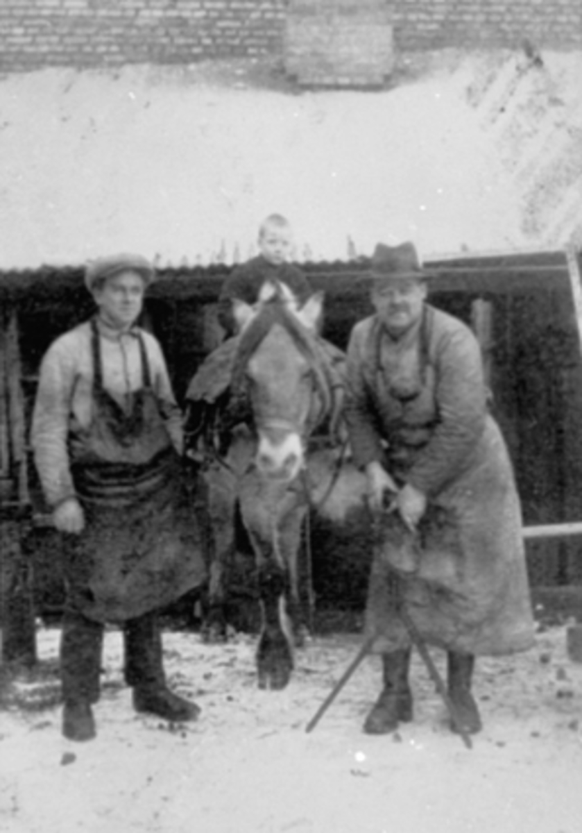 Anno Domkirkeodden, SMED ODDVAR NYBAKKEN, NICOLAI KORSLUND SKOR HEST, JARLE KORSLUNDJarle Korslund er 5 år. Hesten er fra Furuberget gård