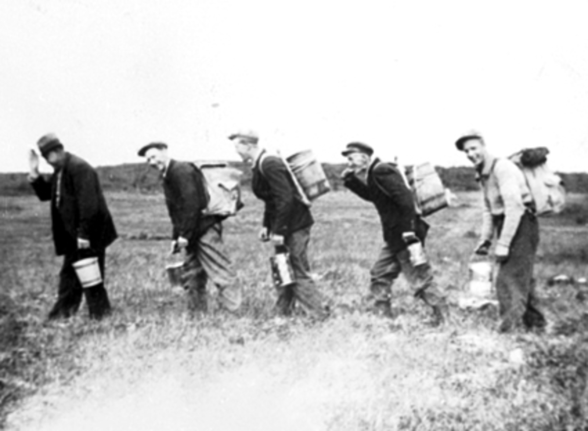 Anno Domkirkeodden, Gruppe multeplukkere, spann, trebutt, ryggsekk, familien Olsen. Fra v: Even Olsen (far), Olaf Olsen, Emil Olsen, Jørgen Olsen, Michael Brovold. Se Karin Nord Syverinsens bok Påfuglen i Parken side 38.