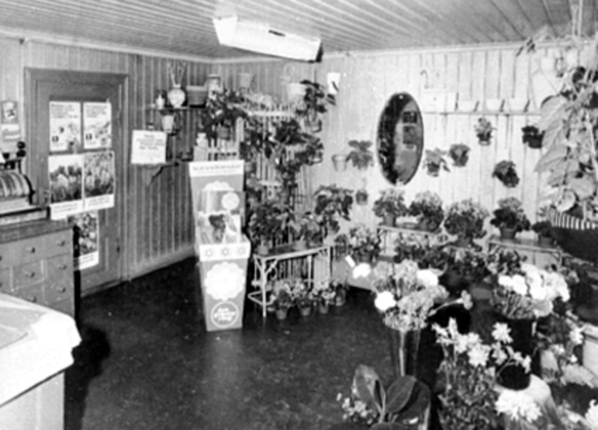 Anno Domkirkeodden, INTERIØR FUGLSETH GARTNERI BLOMSTERFORRETNINGEN, KASSE, SPEIL