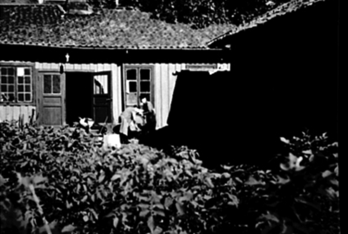 Anno Domkirkeodden, Strandstua, Flagstadsmia i Kirkebakken, Hamar. Smed Nordrum og kona står ved slipesteinen. I forgrunnen potetåker.