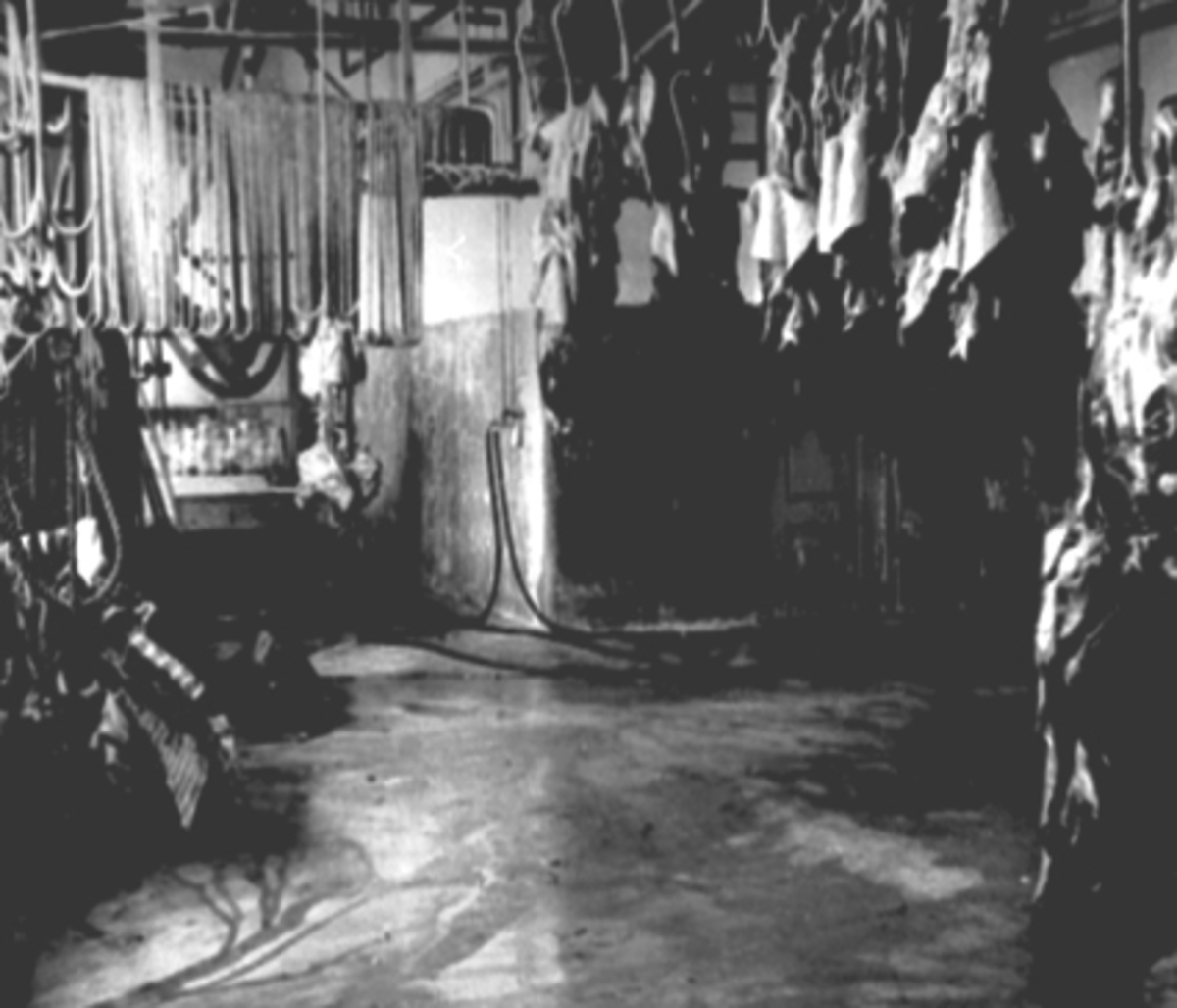 Anno Domkirkeodden, INTR: HAMAR SLAGTERI, STANGEVEGEN 72, KROKER OG SKROTTER