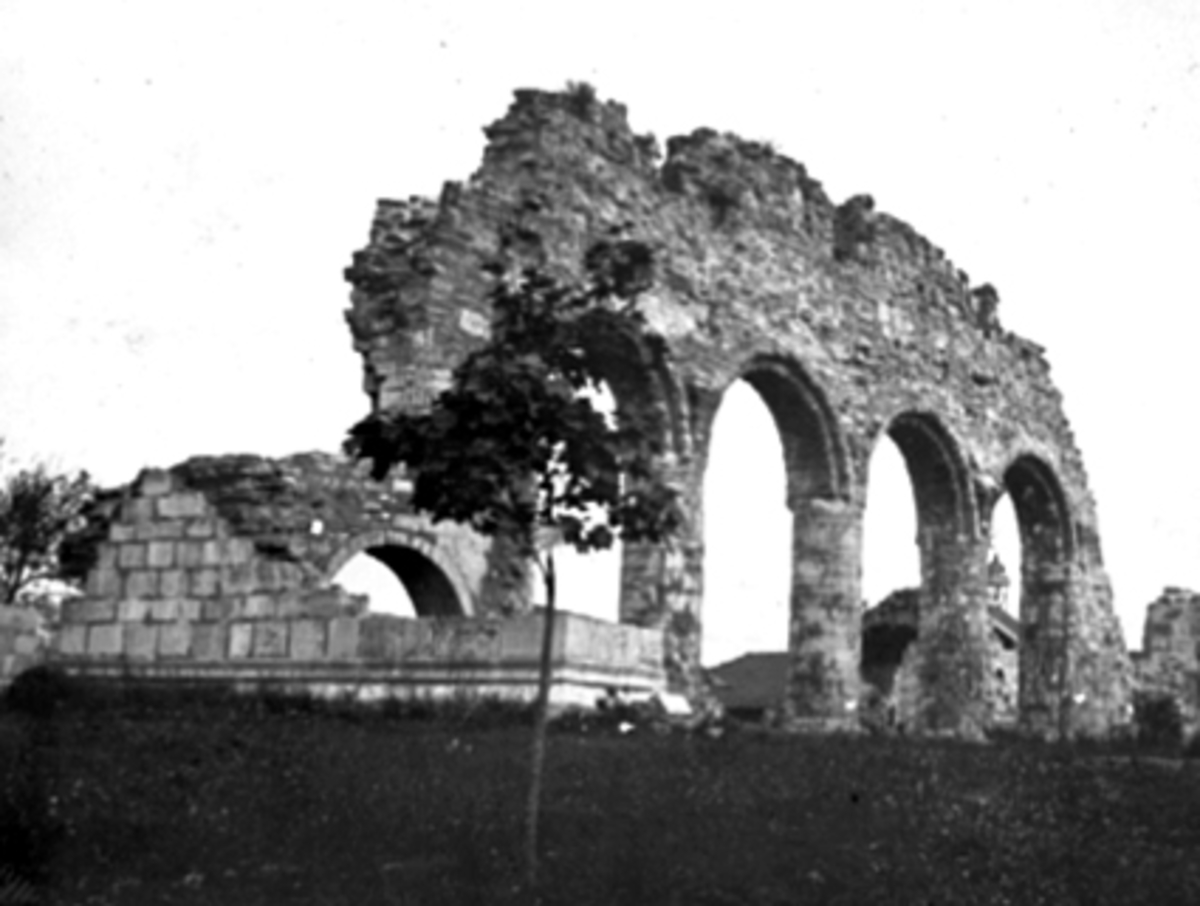Anno Domkirkeodden, DOMKIRKERUINEN, LØNNETRE, HEDMARKSMUSEET OG DOMKIRKEODDEN