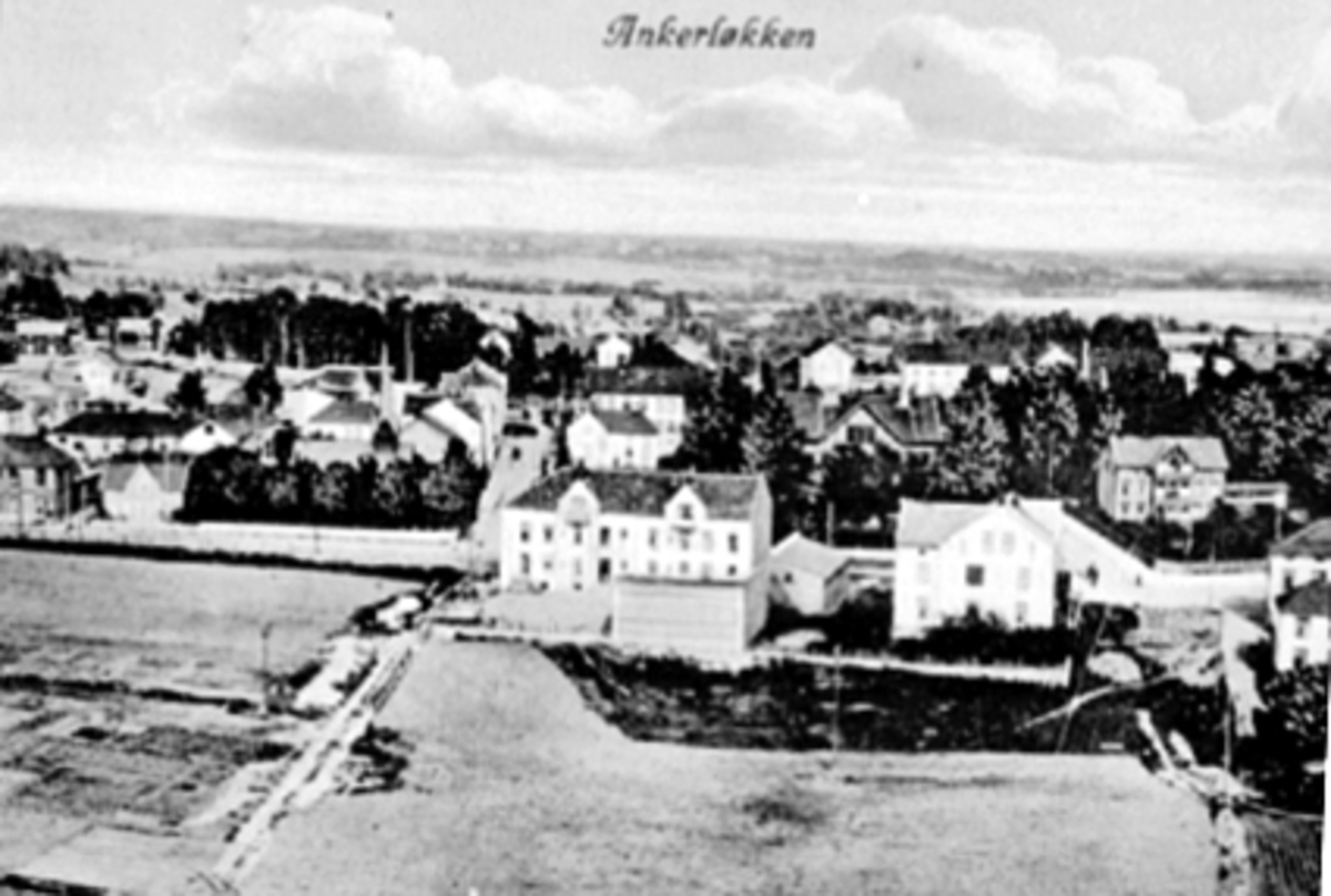 Anno Domkirkeodden, OVERSIKT ANKERLØKKA, SKOLEGATA 14
