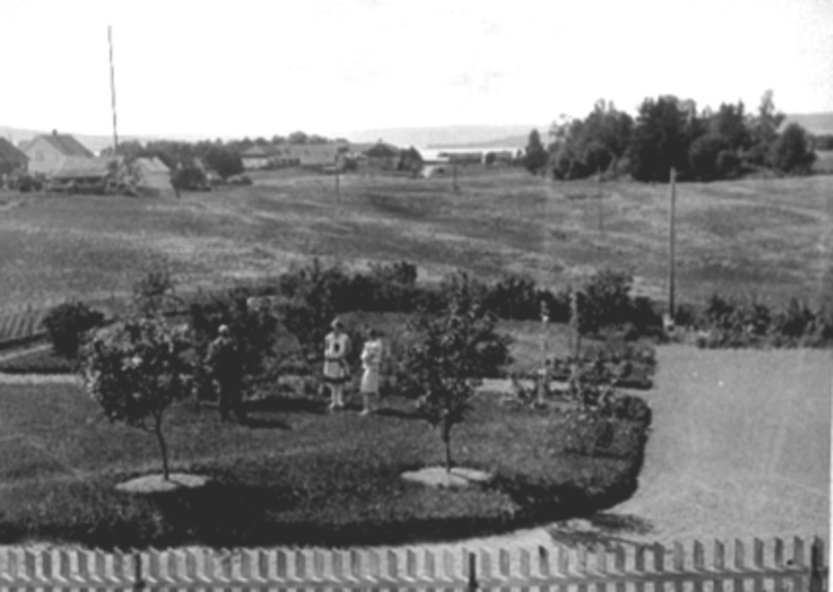 Anno Domkirkeodden, BISPEGATA, HAGANLEGG HOS DIREKTØR GISLE ARNESEN MED FRUE OG DATTER SIRI, I BAKGRUNNEN: STORHAMARLÅVEN PÅ DOMKIRKEODDEN