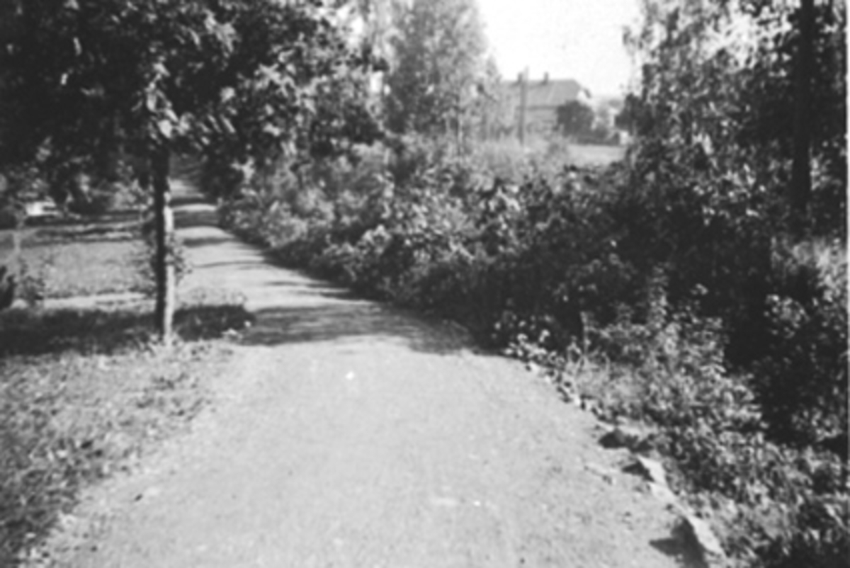 Anno Domkirkeodden, VINDHEIA, ASLAK BOLTS GATE 34, HAGEANLEGG