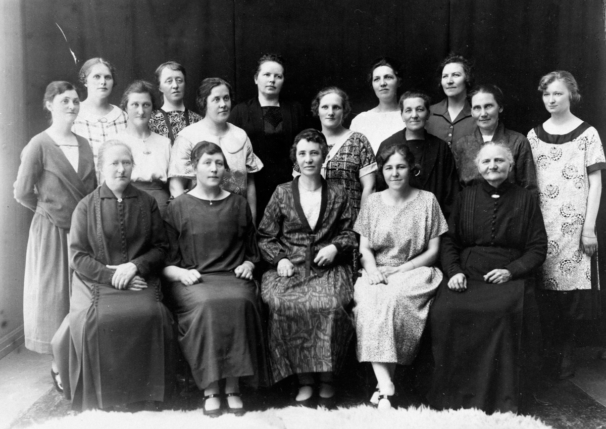 Anno Domkirkeodden, HAMAR DØVES VEL. GRUPPE. STYRET. UKJENTE. SE BOKA HISTORIE OM DE DØVES VEL S. 63