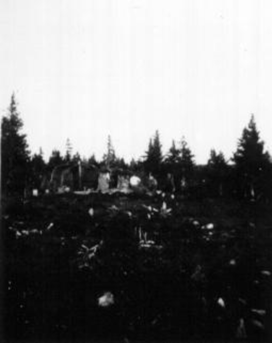Anno Domkirkeodden, Teltleir i skogen for bærplukkere. Bekk i forgrunn.