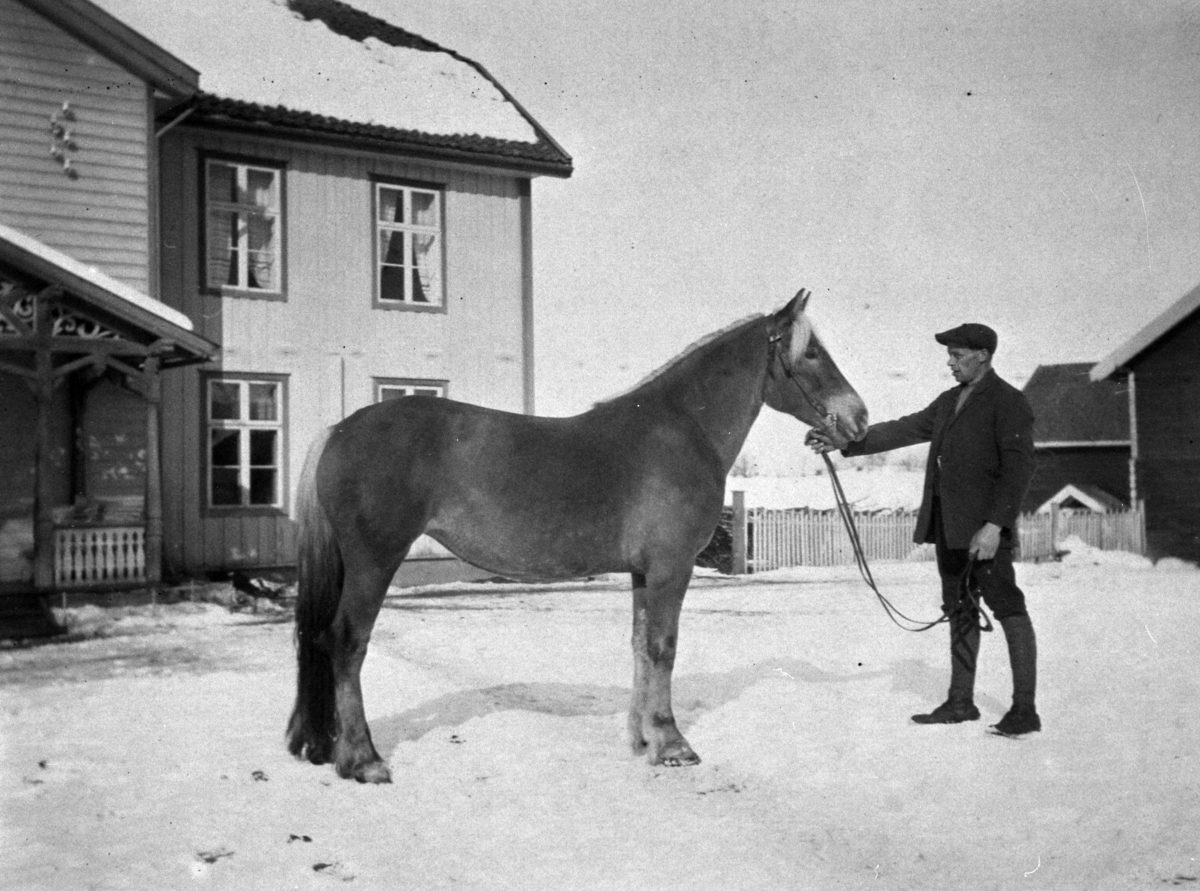 Anno Domkirkeodden, Mann med hest. Ukjent gard. Vinter.