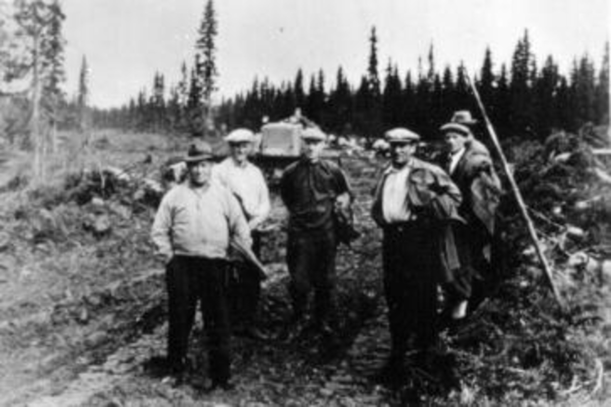 Anno Domkirkeodden, Seks menn, styret i Veldre Almenning på befaring, veganlegget Hageberg-Veldre sag. Nils Weidelborg, Tore Torsæter, Trygve Sørum, Lars Storlien, Olaf Minkstuen, Ole Rognlien.