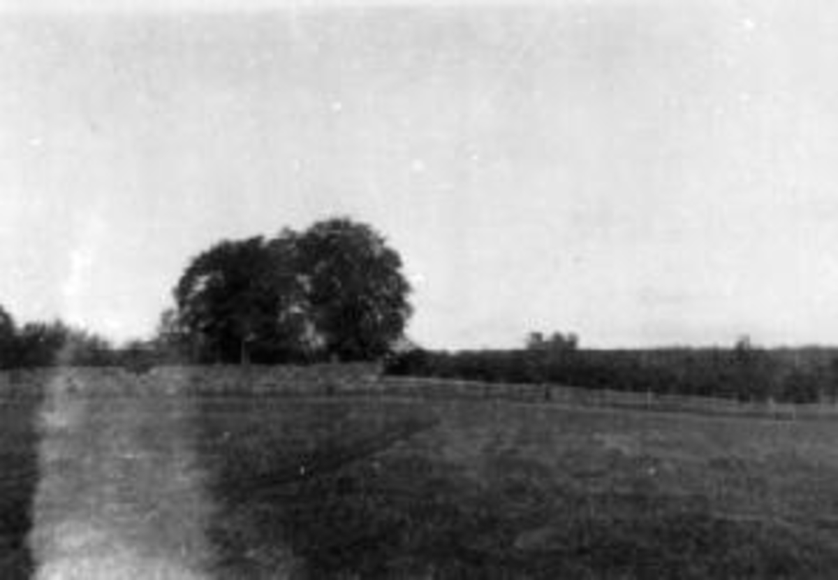 Anno Domkirkeodden, Kirkegårdsmur mot gammelhagen på Mellom-Kise, Nes, Hedmark.