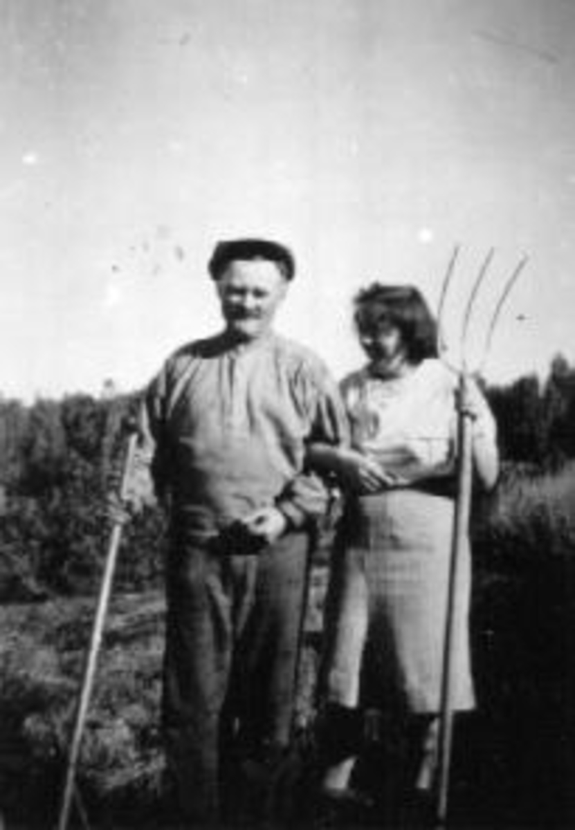 Anno Domkirkeodden, Slåtton på Mellom-Kise, Nes, Hedmark. Johannes Fløttum (1893-1965) får hjelp av "mat-auk-jente" med høygaffel