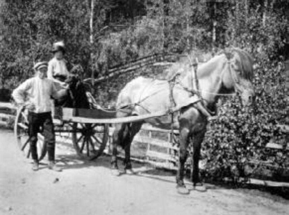 Anno Domkirkeodden, Melkeskyssen fra Kvisla til Moelv. Hest med kjerre. Sverre foran, dame sitter på.
