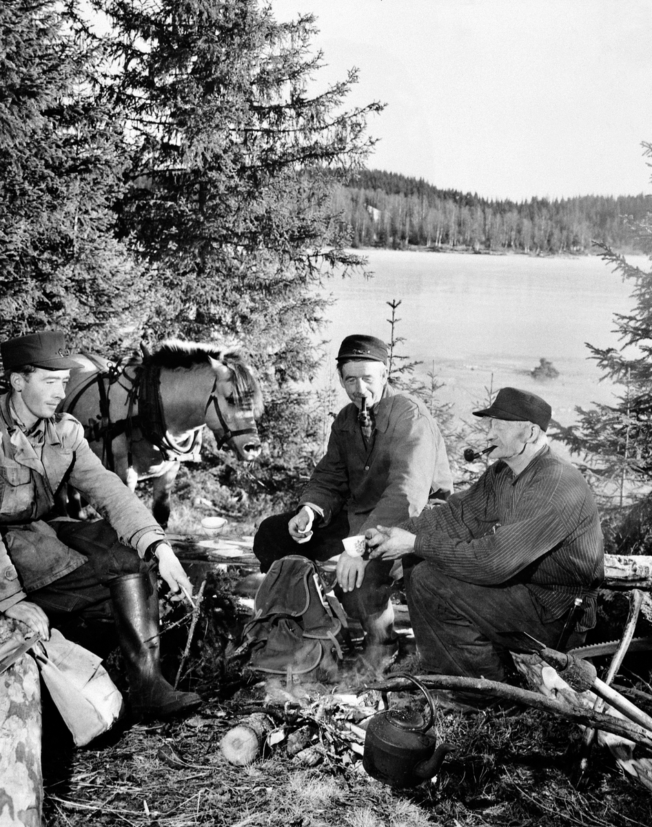 Anno Domkirkeodden, Tre skogsarbeidere tar matpause ved Botshaugtjernet i Lismarka, Ringsaker. Bål med kaffekjel. Fra venstre er Ola Engen, Per Engen, felespiller Karl Oddsæther (1890-1976). Tømmerredskap. Hest i bakgrunnen.