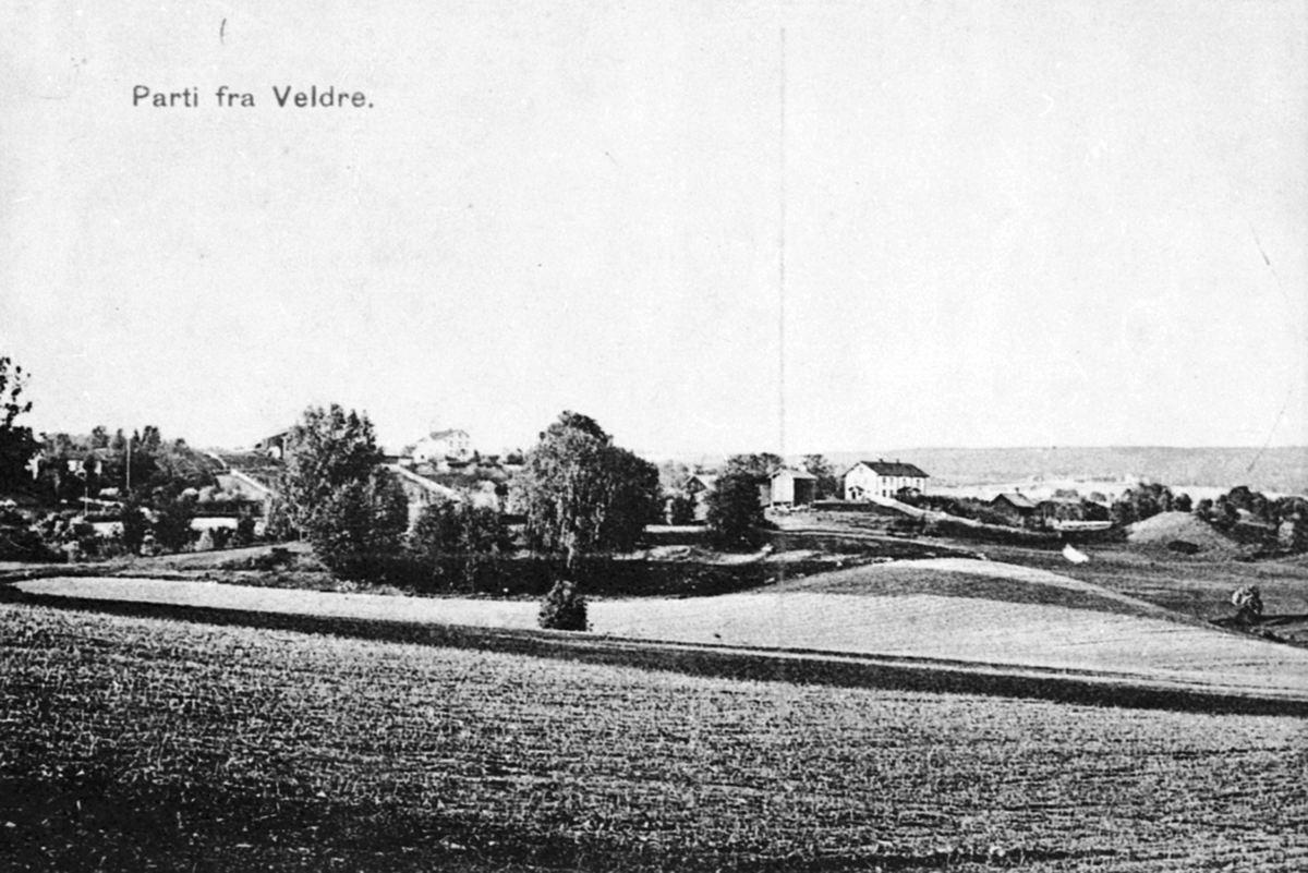 Anno Domkirkeodden, Kulturlandskap. Gårder ved Byflaten, Veldre, Ringsaker. Gravhauger på By og Koss.