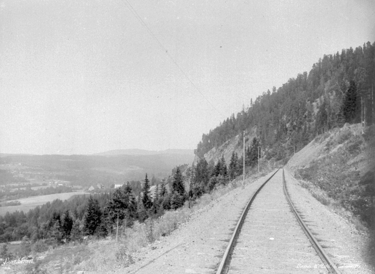 Anno Domkirkeodden, Jernbaneutbygging, skjæringa ved Fangberget, Ringsaker. Mellom Brumunddalen og Veldre stasjoner (anno 1896)- sett nordover.