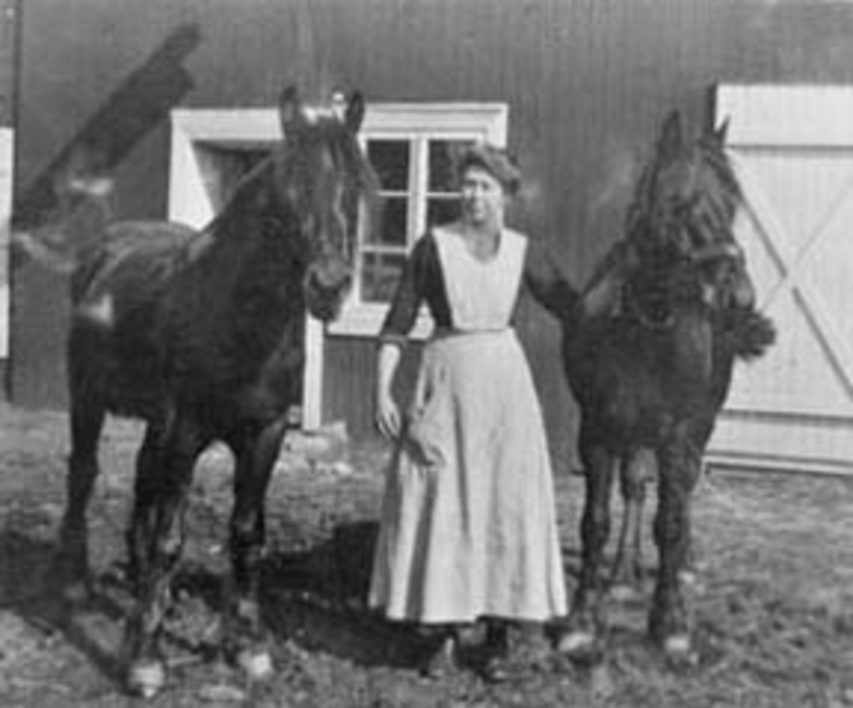 Anno Domkirkeodden, Johanne Romskaug mellom to hester på Granerud, Brumunddal. Husholder og stallkar for doktor Karl Løken.