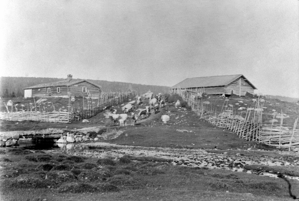 Anno Domkirkeodden, Setergrend med størhus, skigard og buskap. Åkersetra, Ringsakerfjellet.