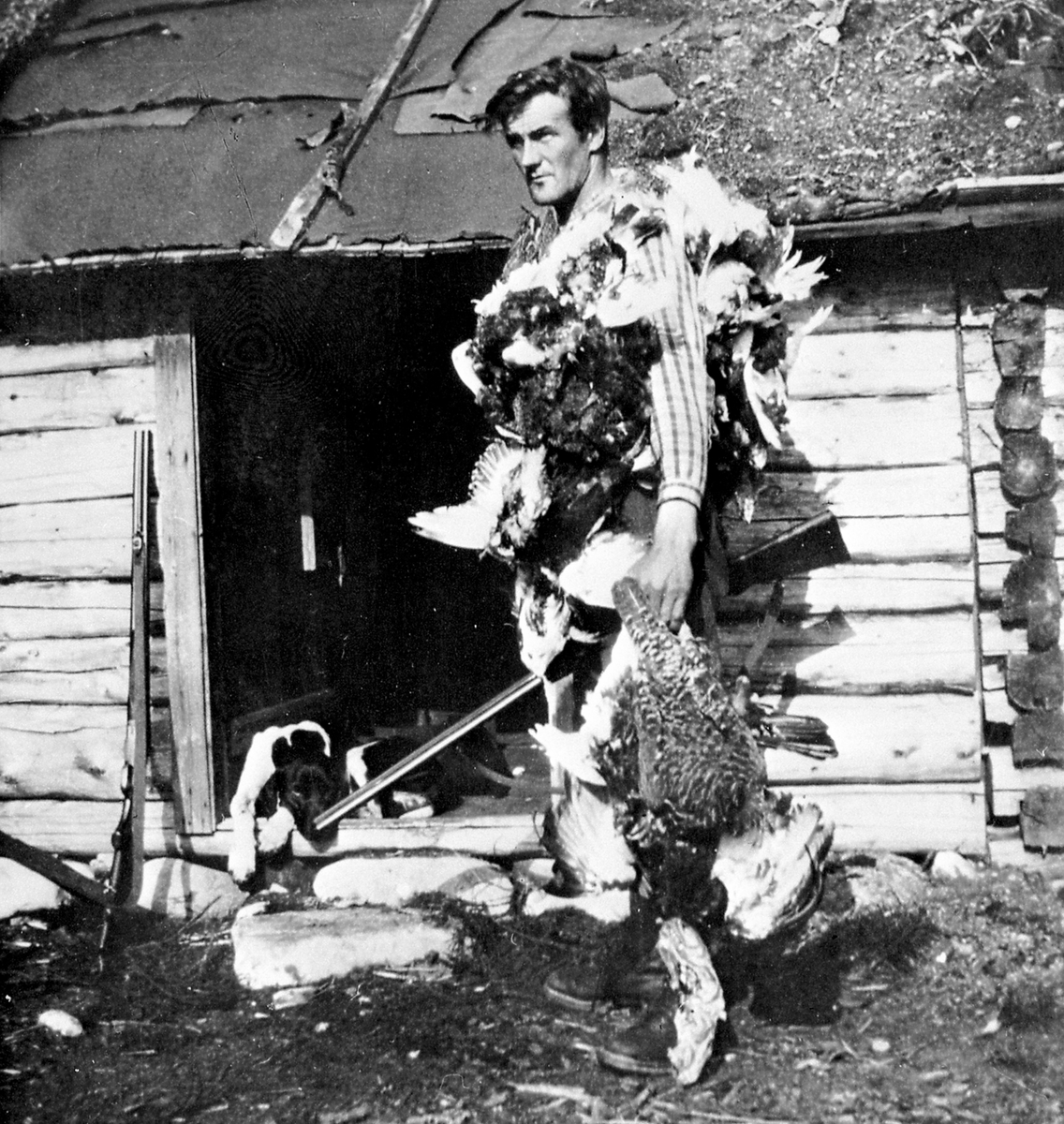 Anno Domkirkeodden, Thor Solbakken fra Navarhaugen, Mesnalia på fuglejakt i Ringsakerfjellet med gevær og hund. Mye storfugl.