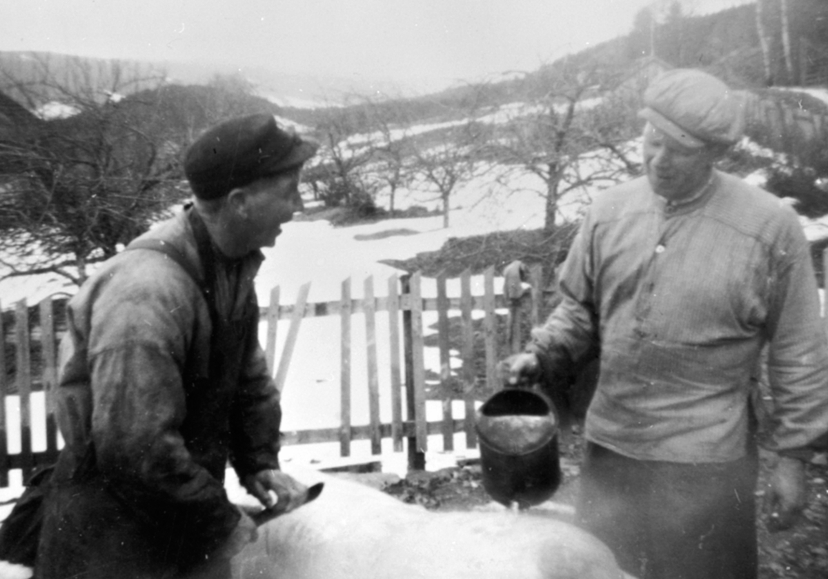 Anno Domkirkeodden, Slakter Jørgen Strandli med kniv, Andrea Freng (1908 - 1968) med skåldevann. Grisslakting på Freng midtre, Brøttum, Ringsaker.