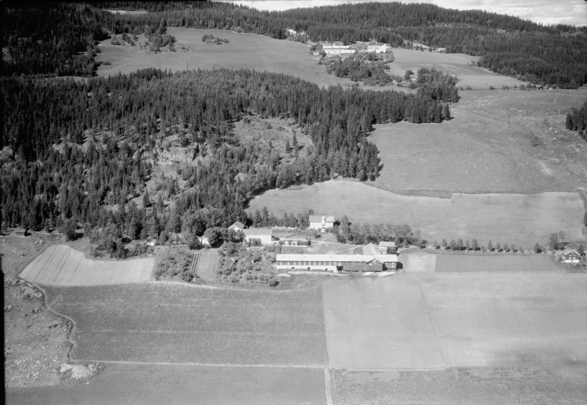 Widerøes Flyveselskap A/S, Flyfoto av Berg store, Ring, Ringsaker.