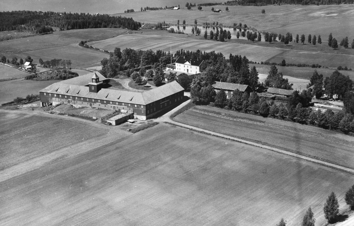 Anno Domkirkeodden, Flyfoto av Skredshoel gard, Gaupen, Ringsaker.