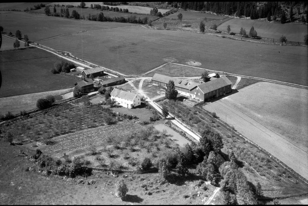 Anno Domkirkeodden, Flyfoto, Lodviken, Helgøya, jordbruk.