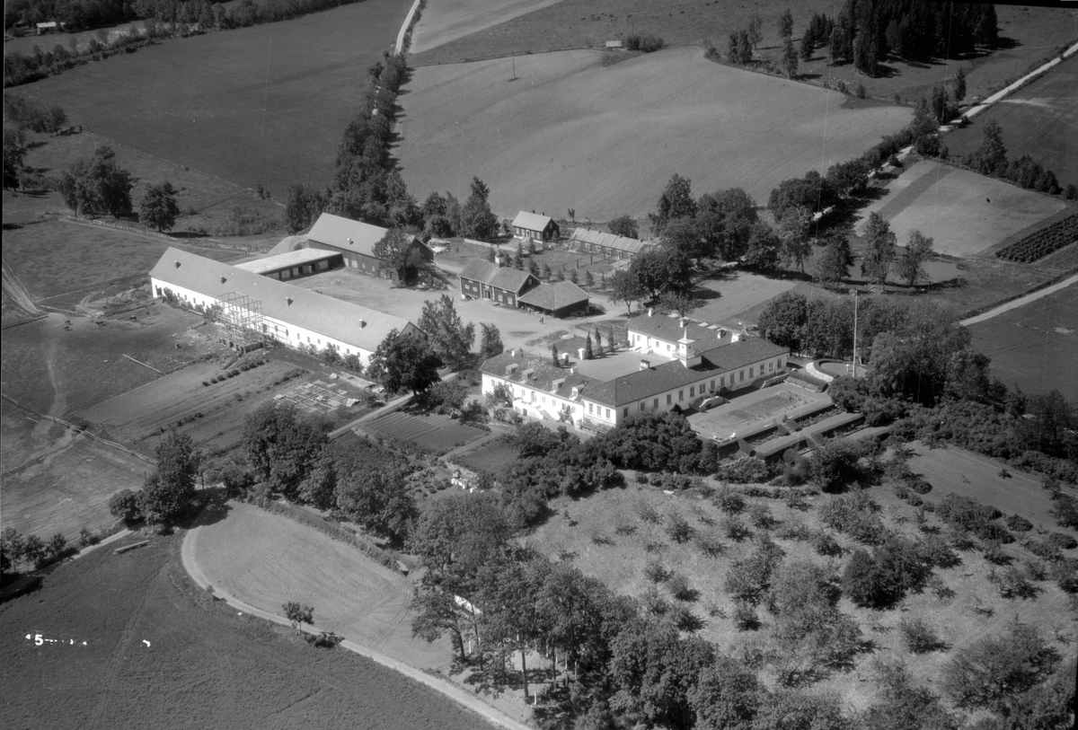 Anno Domkirkeodden, Flyfoto, gardsbruk, Hovinsholm, Helgøya, hage.