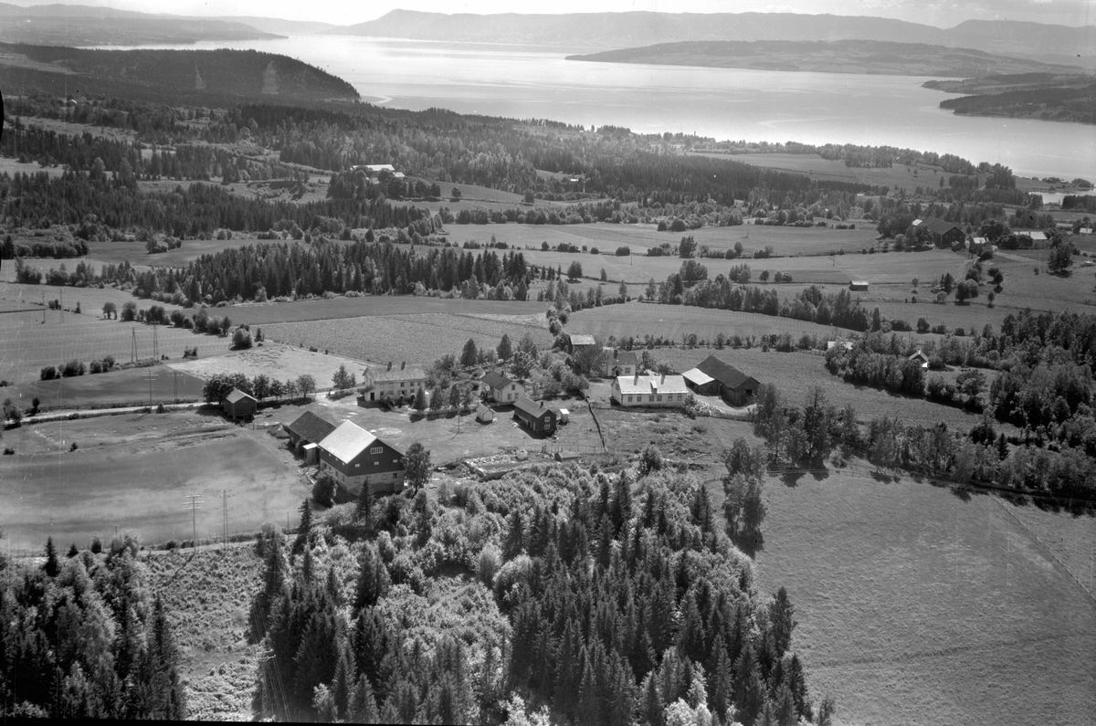Anno Domkirkeodden, Flyfoto av Berg mellom og vestre, Furnes, Ringsaker. Utsikt mot Mjøsa.