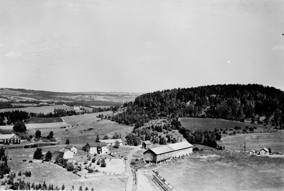 Anno Domkirkeodden, Flyfoto av Nyhus gard, Ringsaker.