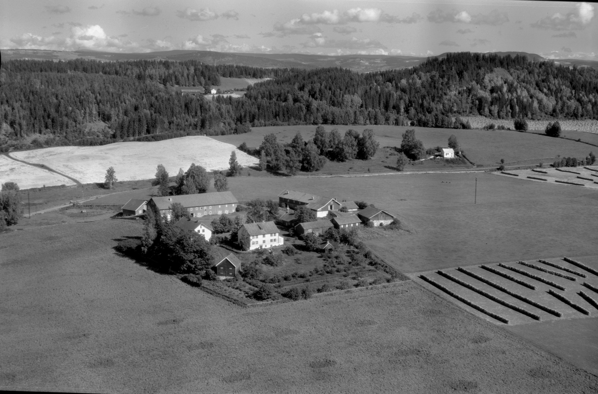 Anno Domkirkeodden, Flyfoto av Hersau gard, Gaupen, Ringsaker.