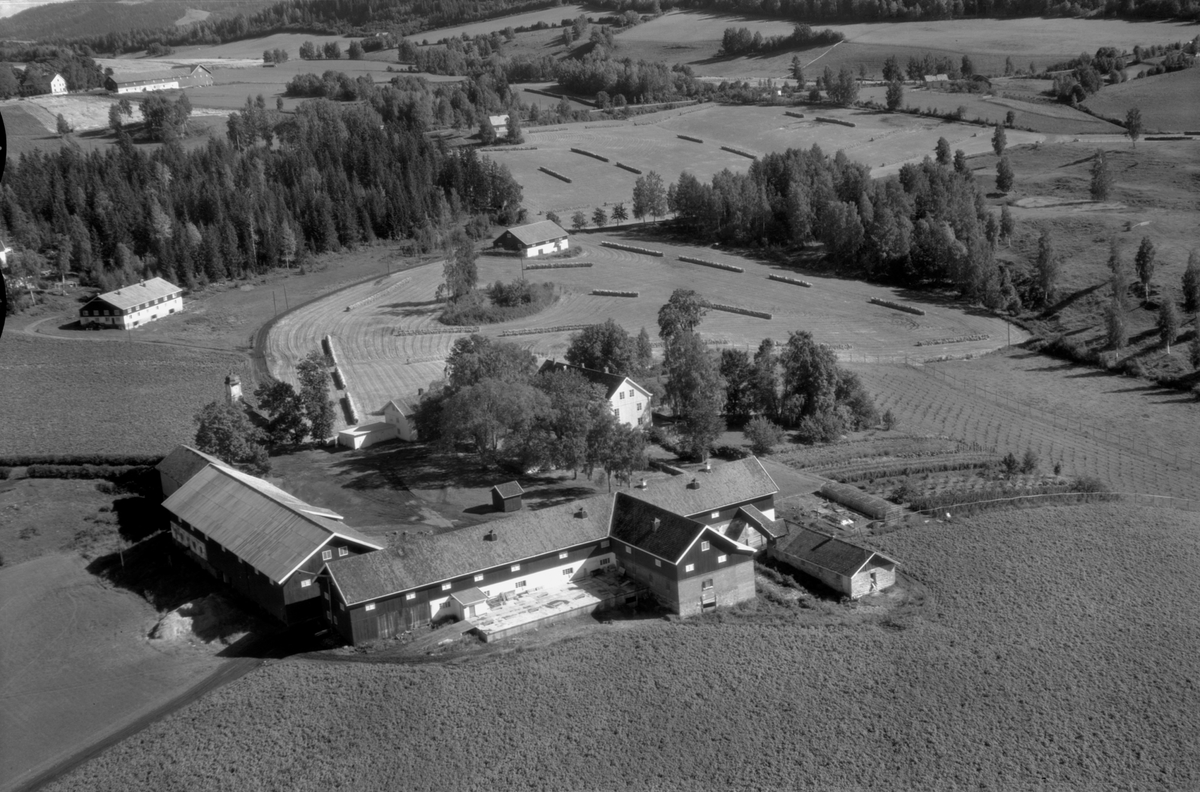 Anno Domkirkeodden, Flyfoto av Tjerne gard, Gaupen, Ringsaker.