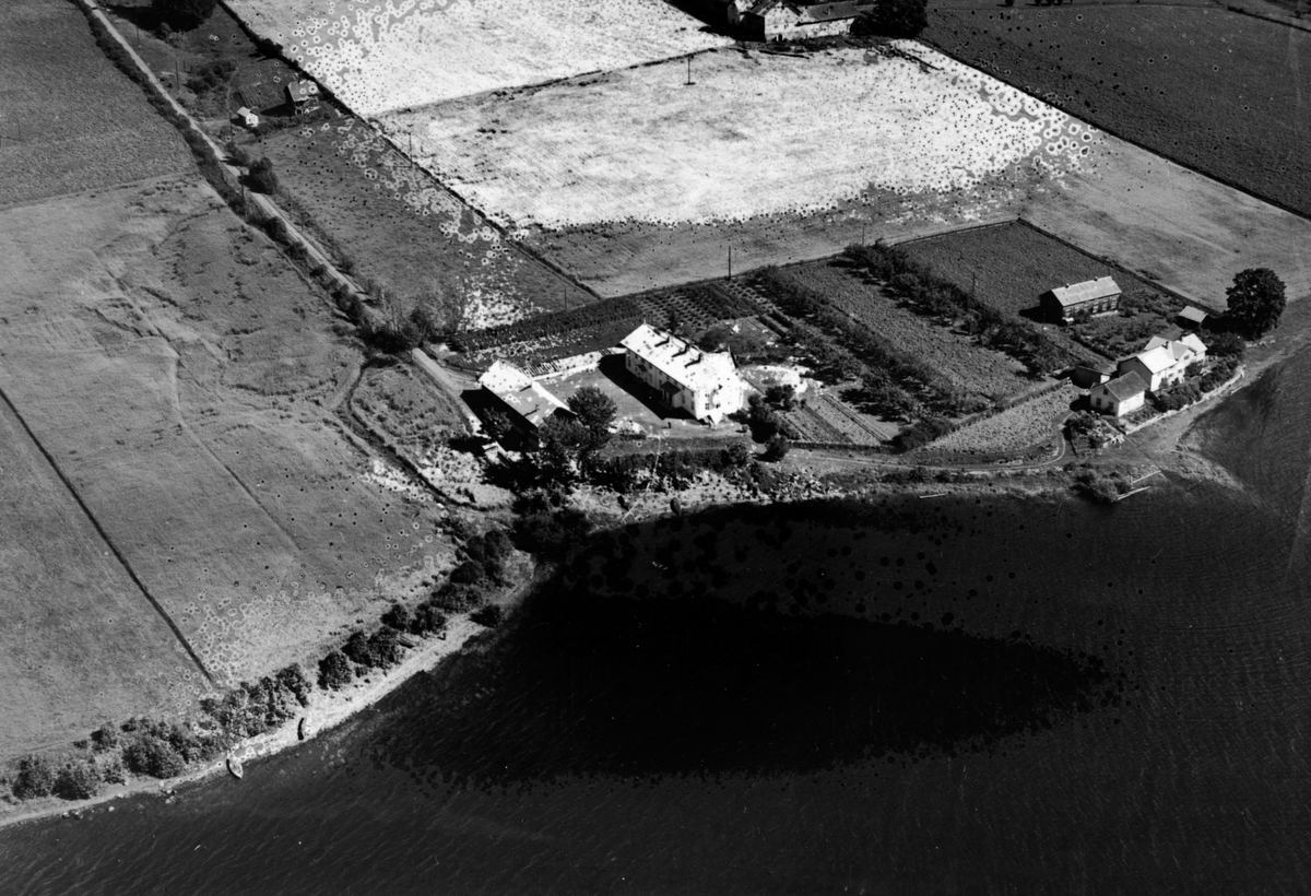 Anno Domkirkeodden, Flyfoto av Ringstrand pleiehjem, Ringsaker.