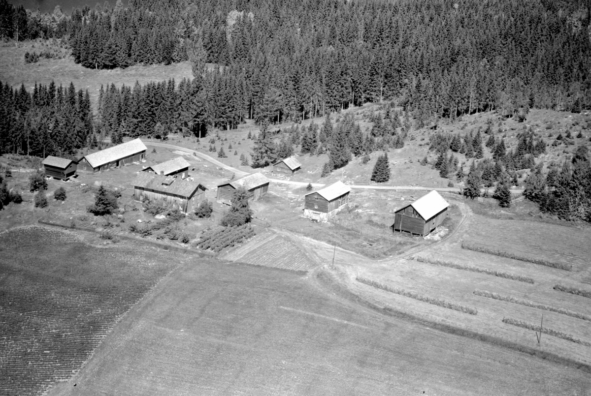 Anno Domkirkeodden, Flyfoto av ukjent gard, Brøttum, Ringsaker.