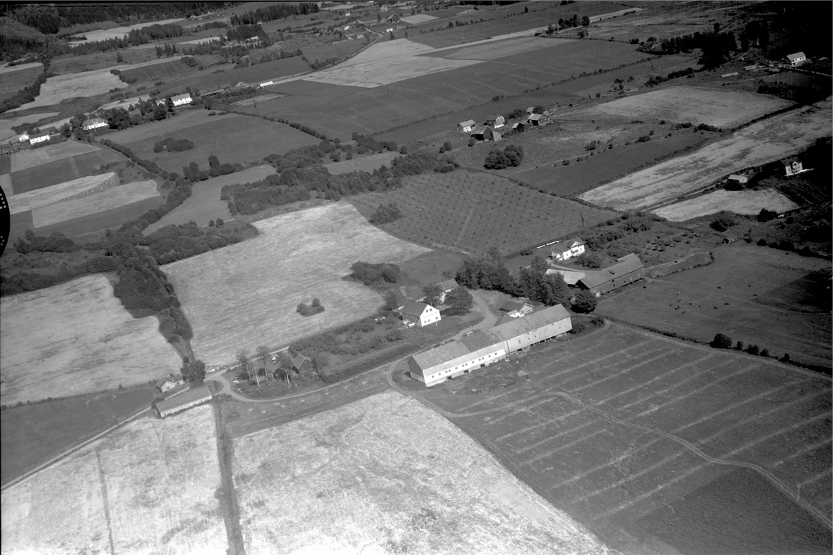 Anno Domkirkeodden, Flyfoto av Fjølstad og Krogsgård, Ring, Ringsaker.