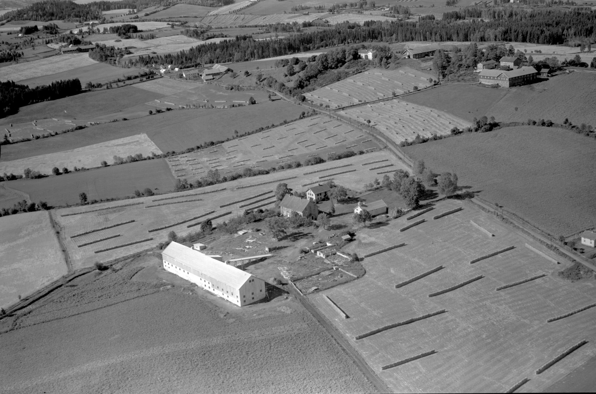 Anno Domkirkeodden, Flyfoto av Rør gard, Ringsaker.