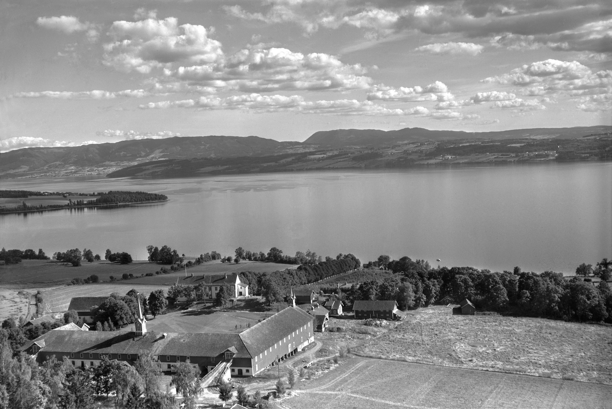 Anno Domkirkeodden, Flyfoto, gardsbruk, hagebruk, Hoel, Mjøsa, Nes, Hedmark, Hornsodden, Helgøya, Toten, Skreia.