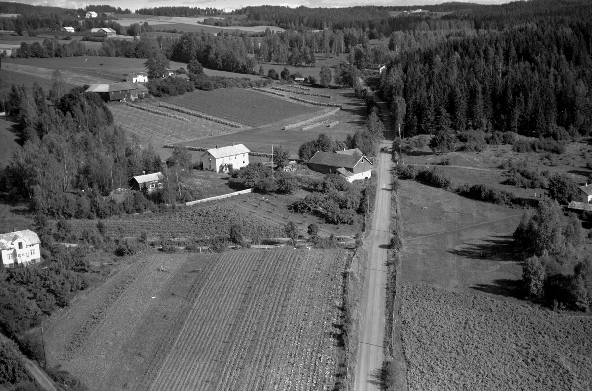 Anno Domkirkeodden, Flyfoto av Dæhli, Smedstua, Ringsaker.