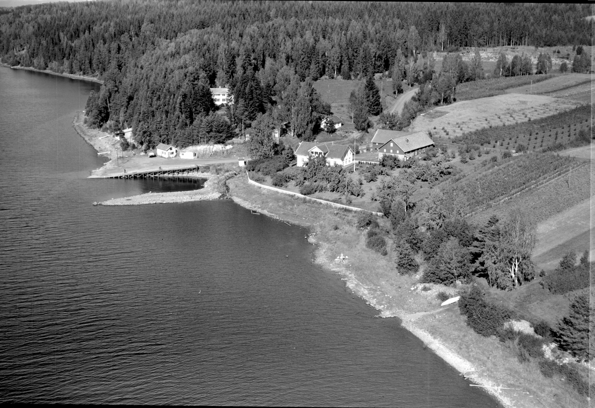 Anno Domkirkeodden, Flyfoto av Smedstua gard, Ringsaker.