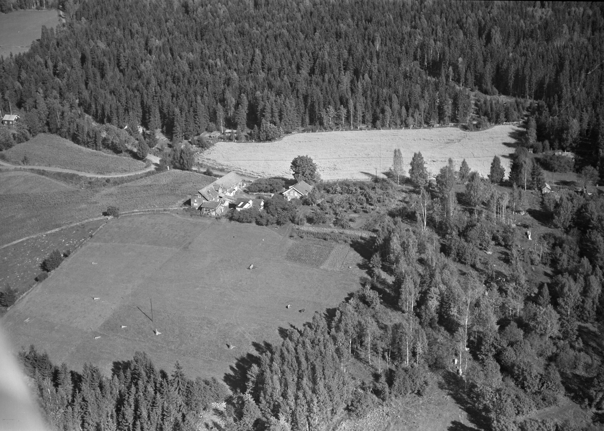 Anno Domkirkeodden, Flyfoto av Taskerud gard, Mengshoel, Ringsaker.
