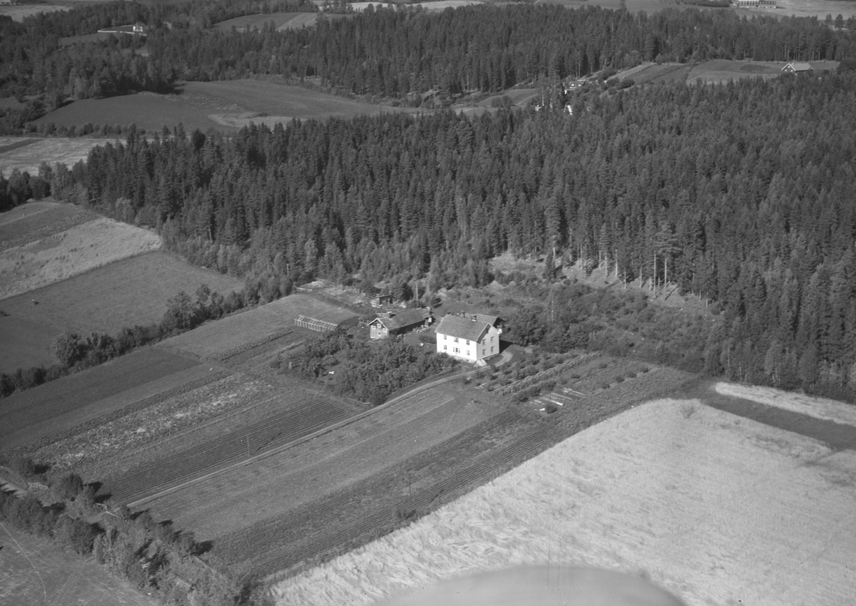 Anno Domkirkeodden, Flyfoto, gardbruk, Liberg, Nes, Hedmark.